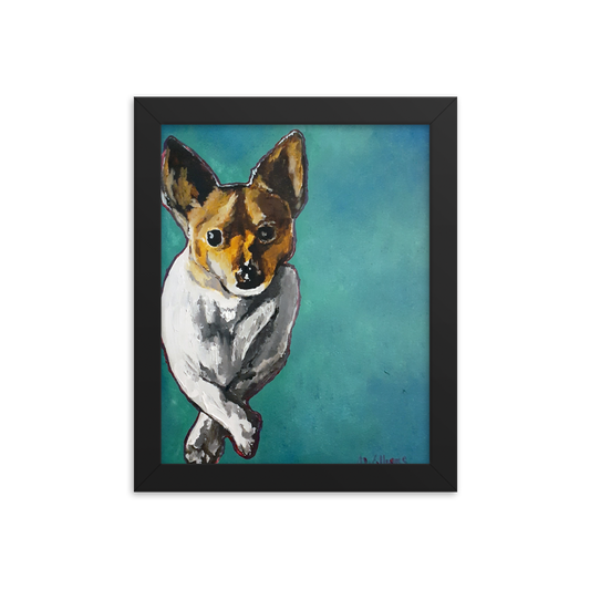 8x10 Framed print of a Jack Russell Terrier with teal background. Framed in black