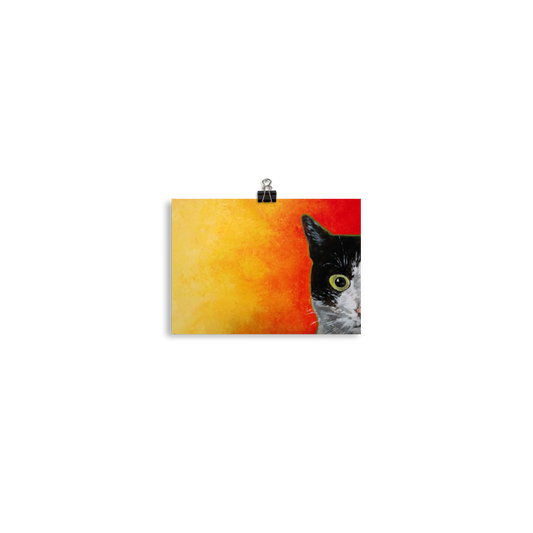5x7 print of a black and white cat with green eyes and a yellow to red faded background