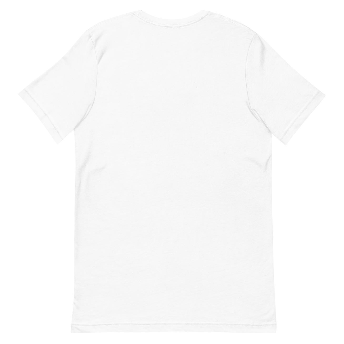 Picture of the back of a white t-shirt