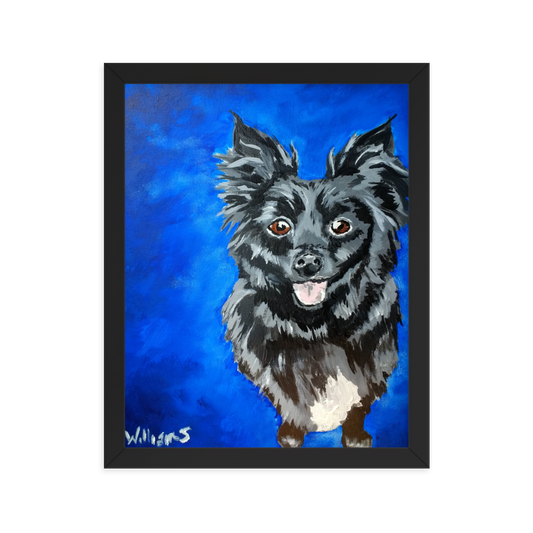 11x14 Framed print of a long haired chihuahua with a blue background. Framed in black