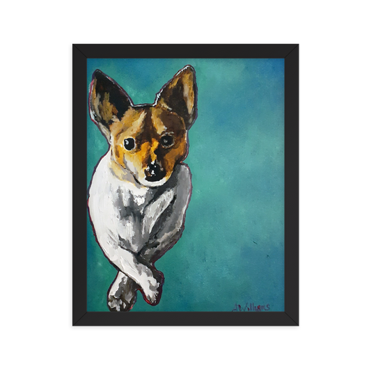 11x14 Framed print of a Jack Russell Terrier with teal background. Framed in black