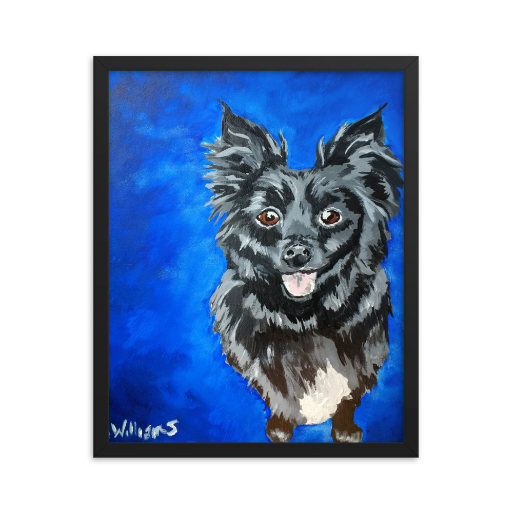 16x20 Framed print of a long haired chihuahua with a blue background. Framed in black