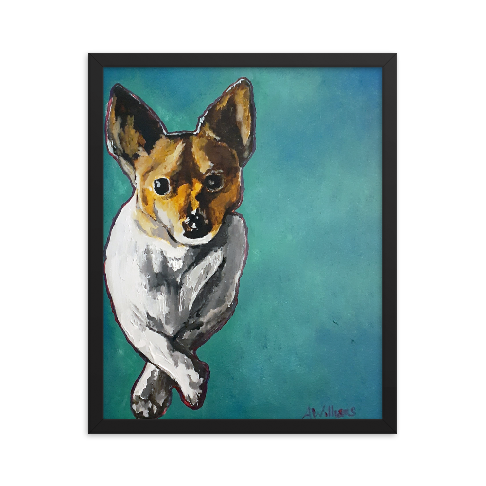 16x20 Framed print of a Jack Russell Terrier with teal background. Framed in black