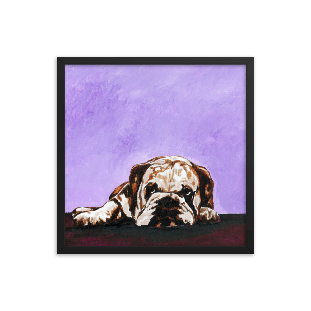 18x18 Framed print of a bulldog laying down with purple background. Framed in black