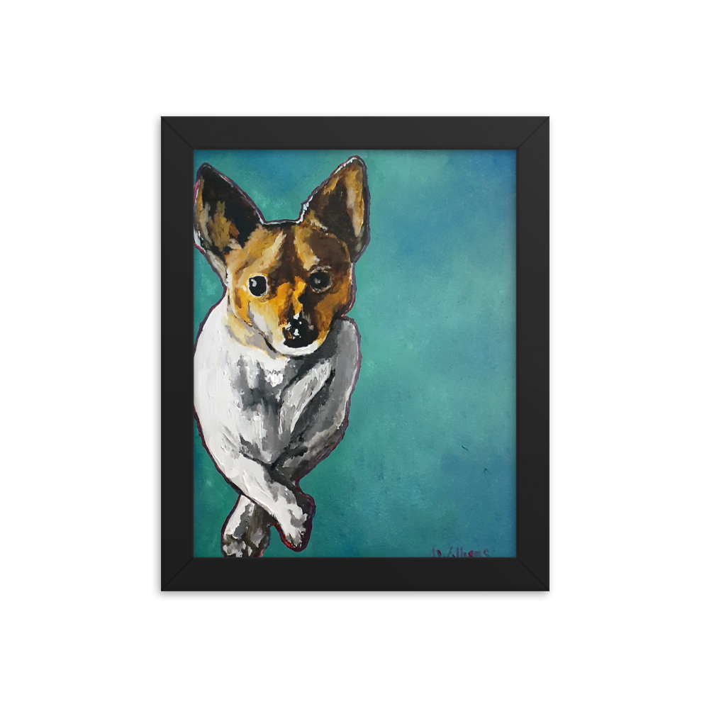 8x10 Framed print of a Jack Russell Terrier with teal background. Framed in black