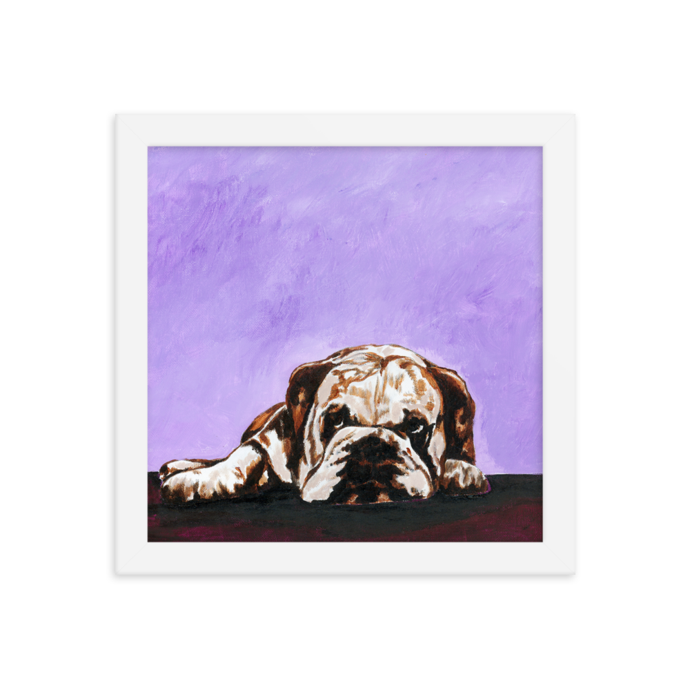 10x10 Framed print of a bulldog laying down with purple background. Framed in white