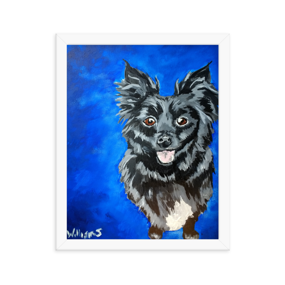 11x14 Framed print of a long haired chihuahua with a blue background. Framed in white