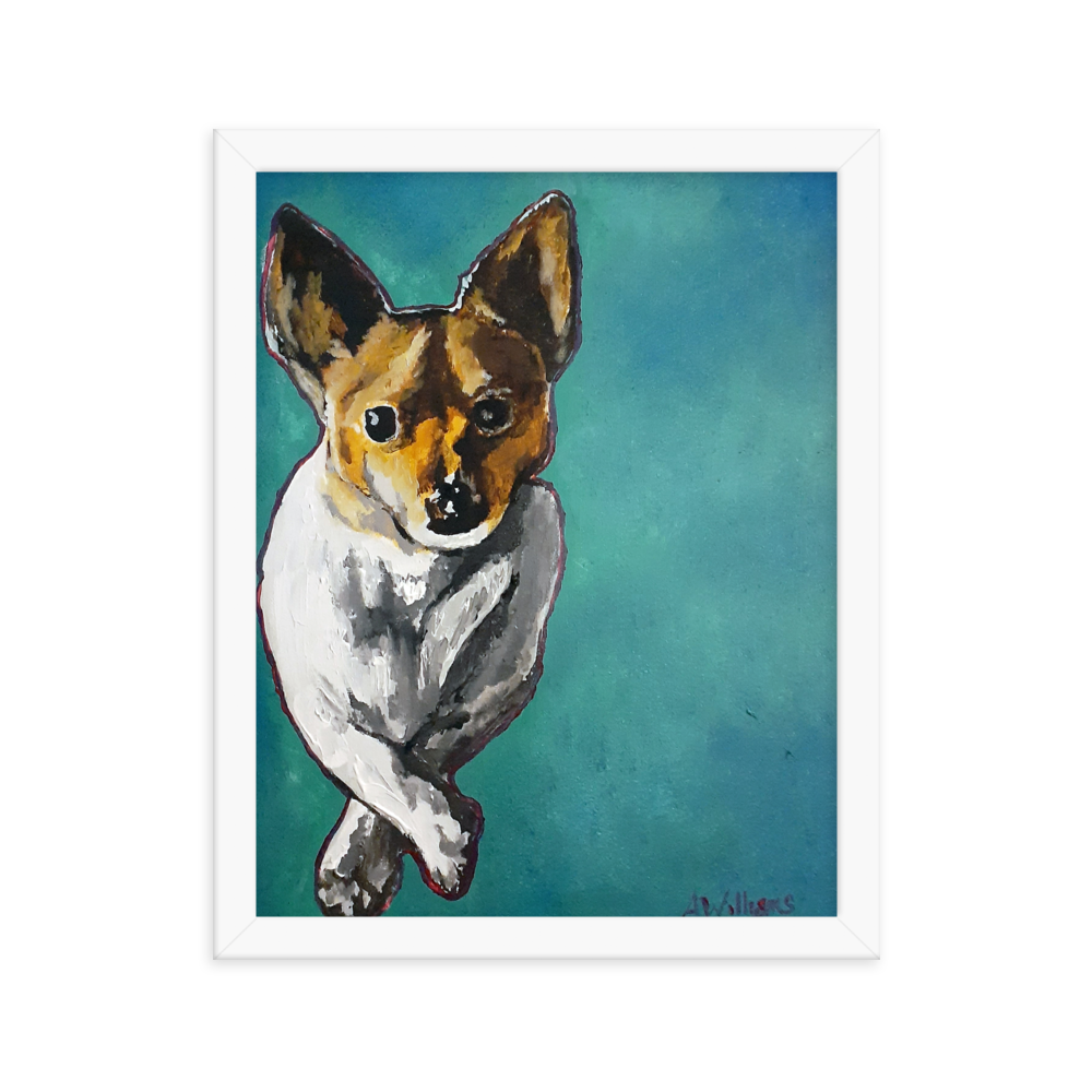 11x14 Framed print of a Jack Russell Terrier with teal background. Framed in white