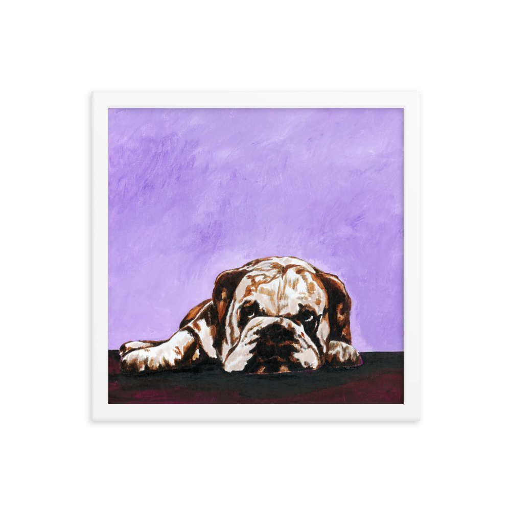 14x14 Framed print of a bulldog laying down with purple background. Framed in white