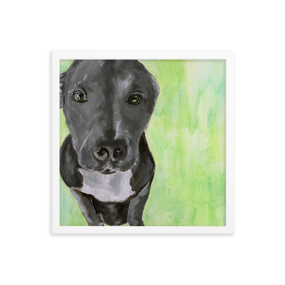 16x16 Framed print of a gray Pit Bull with green background. Framed in white