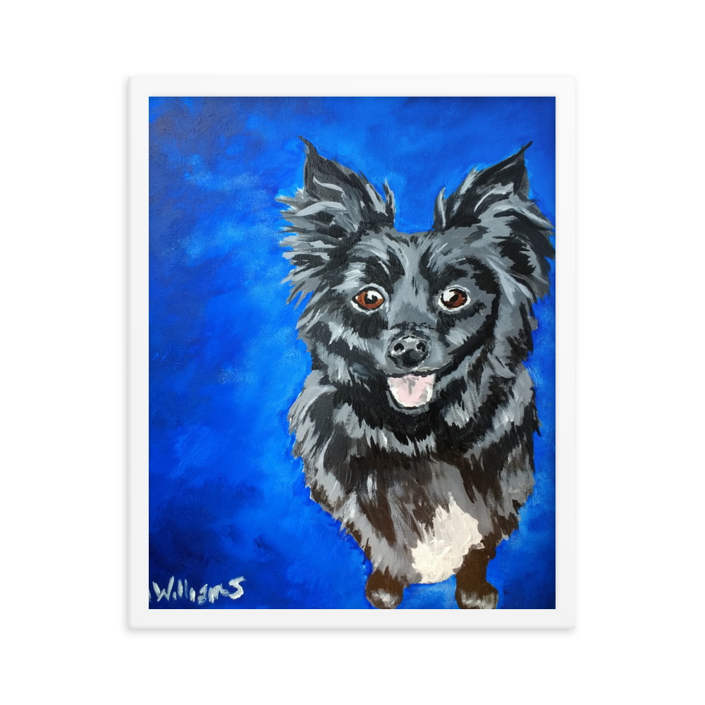 16x20 Framed print of a long haired chihuahua with a blue background. Framed in white