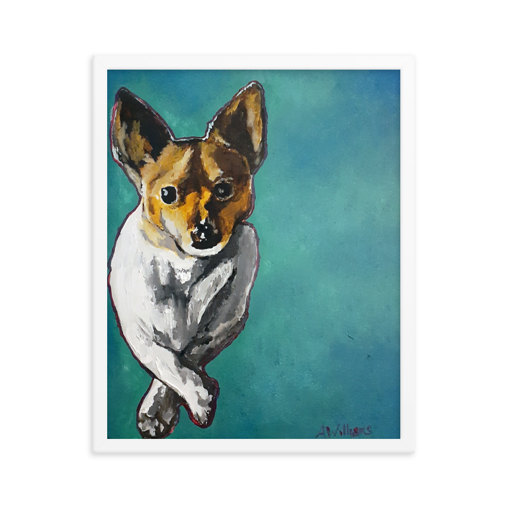 16x20 Framed print of a Jack Russell Terrier with teal background. Framed in white