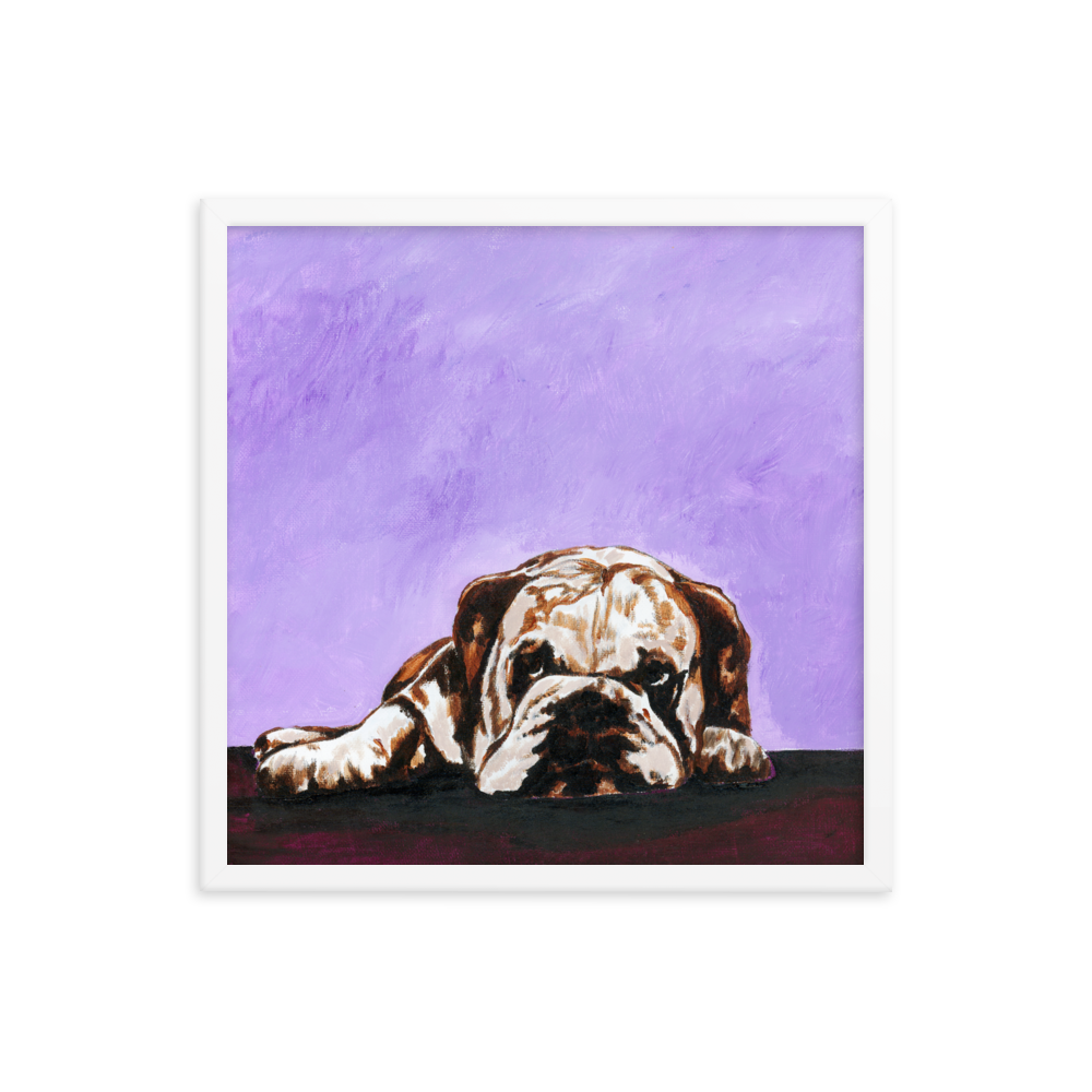 18x18 Framed print of a bulldog laying down with purple background. Framed in white