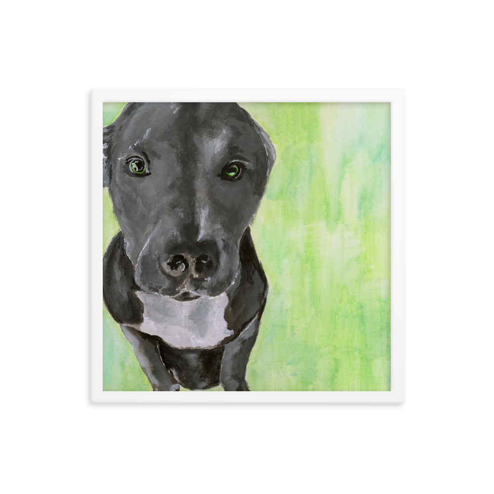 18x18 Framed print of a gray Pit Bull with green background. Framed in white