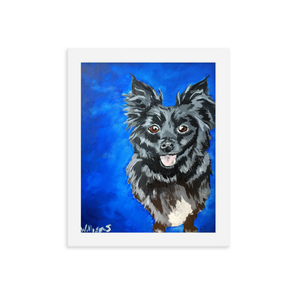 8x10 Framed print of a long haired chihuahua with a blue background. Framed in white