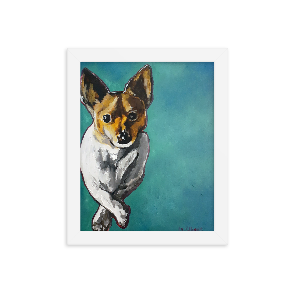 8x10 Framed print of a Jack Russell Terrier with teal background. Framed in white