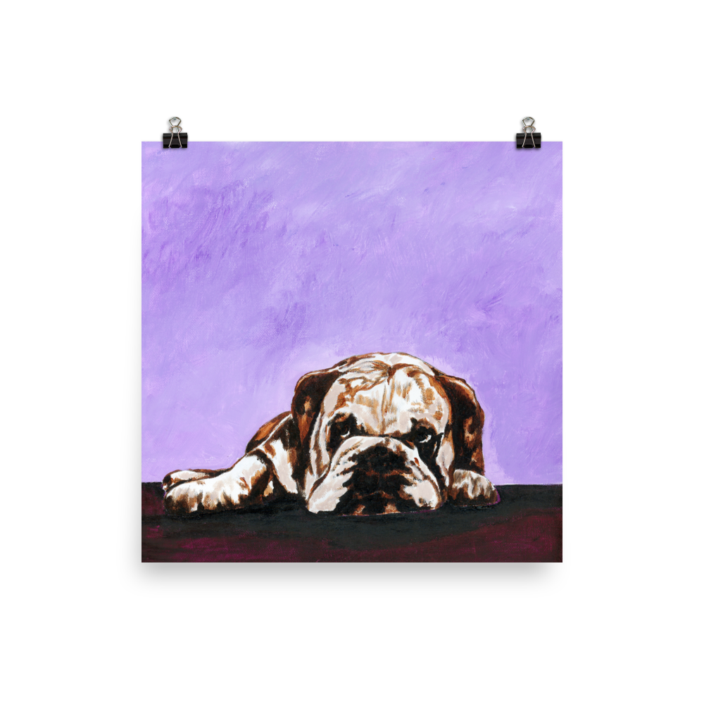 10x10 print of a bulldog laying down with purple background