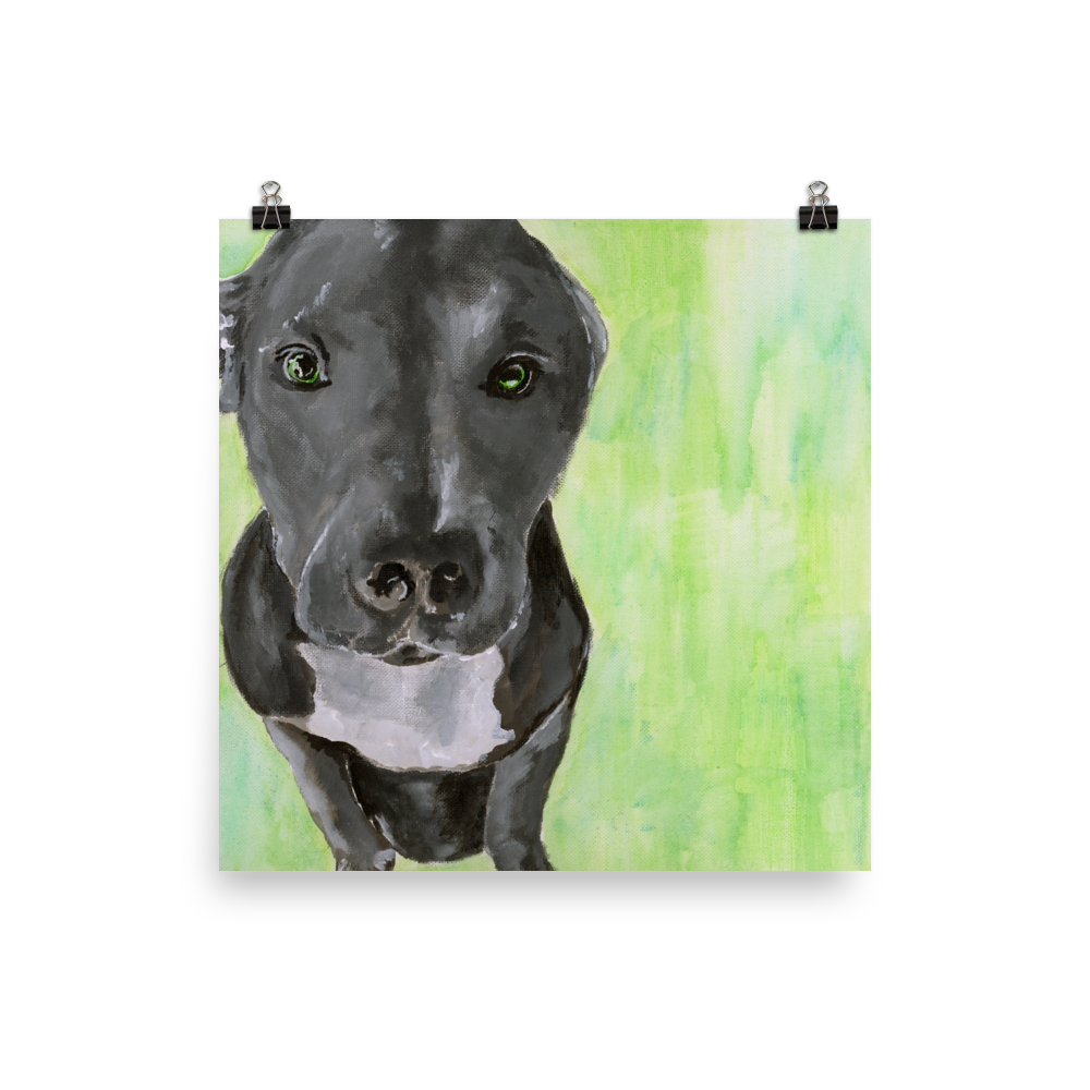 10x10 print of a gray Pit Bull with green background