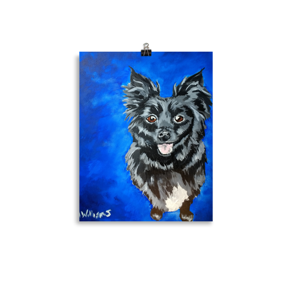 11x14 print of a long haired chihuahua with a blue background.