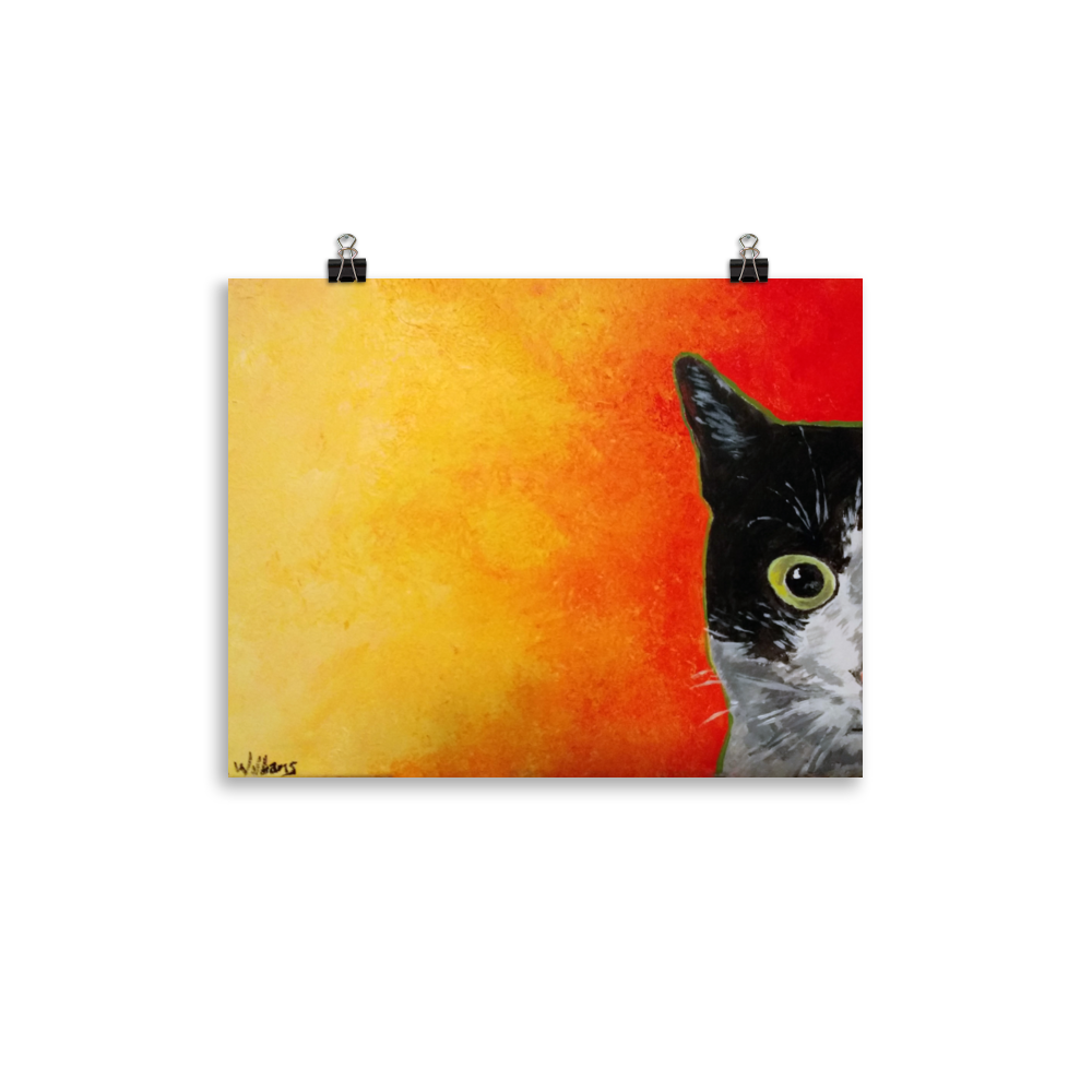 11x14 print of a black and white cat with green eyes and a yellow to red faded background