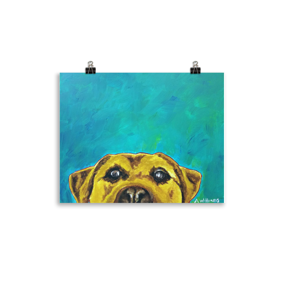 11x14 print of a yellow lab with blue green background