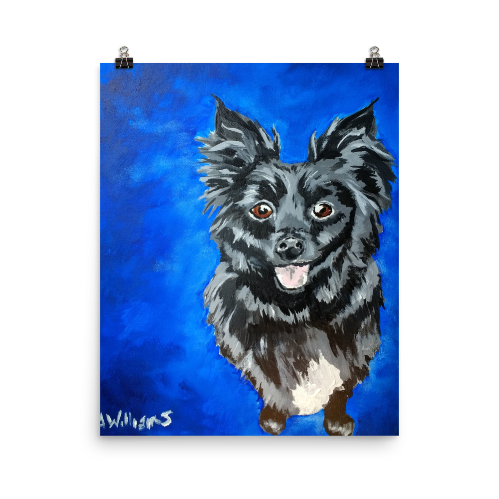 16x20 print of a long haired chihuahua with a blue background.