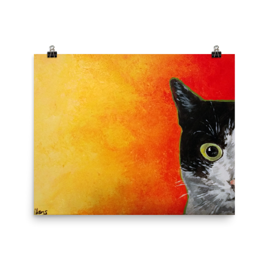 16x20 print of a black and white cat with green eyes and a yellow to red faded background