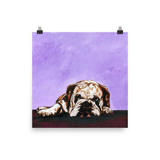 18x18 print of a bulldog laying down with purple background