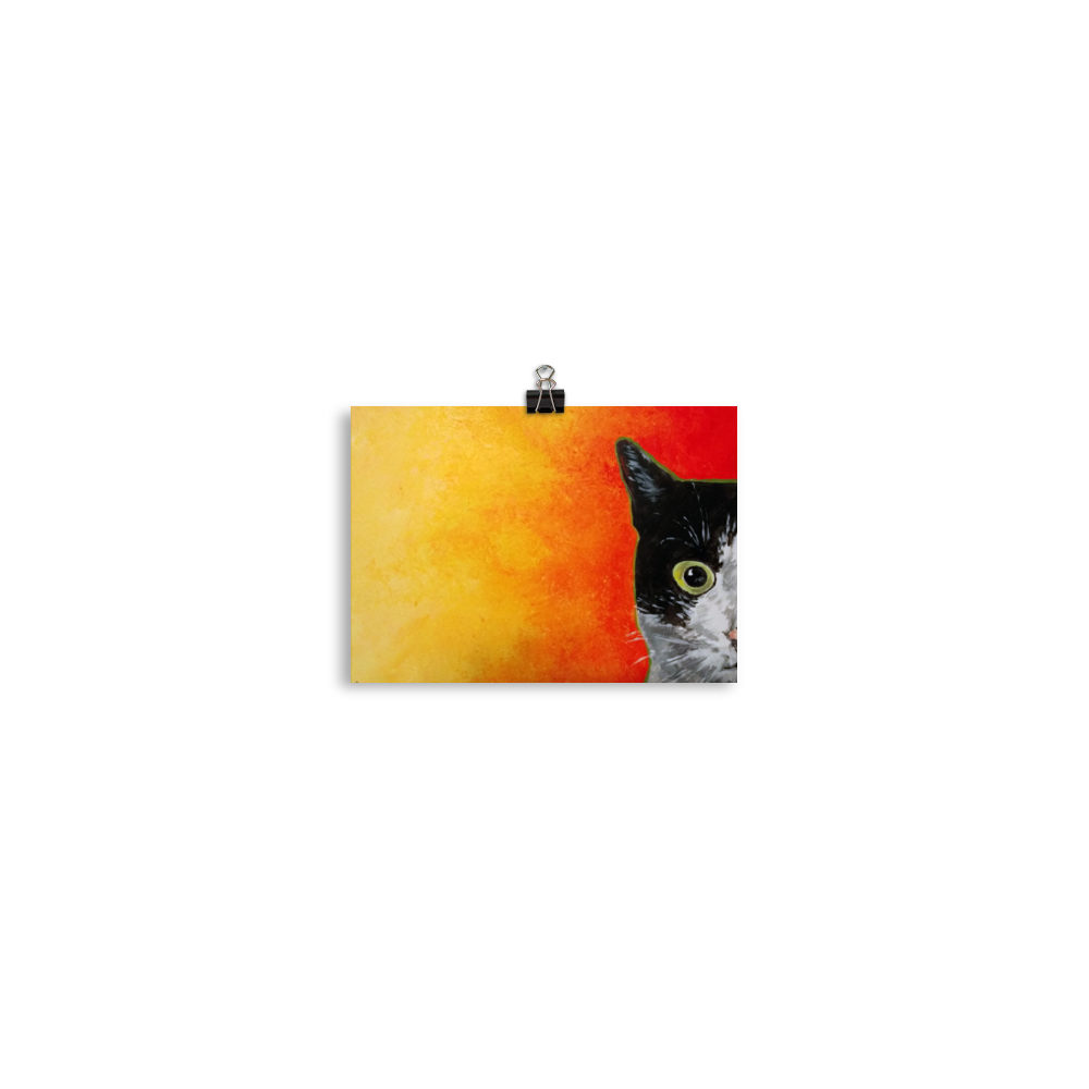 5x7 print of a black and white cat with green eyes and a yellow to red faded background