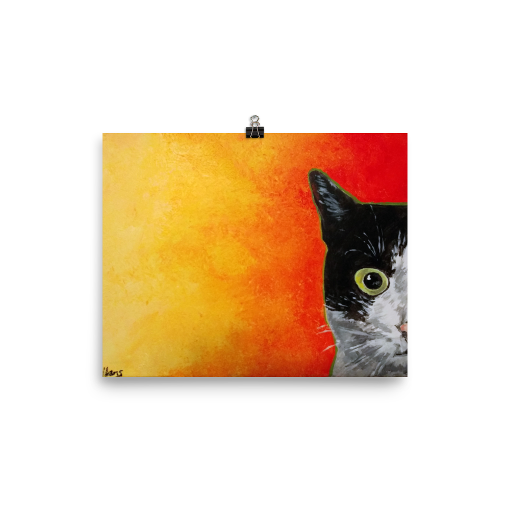 8x10 print of a black and white cat with green eyes and a yellow to red faded background