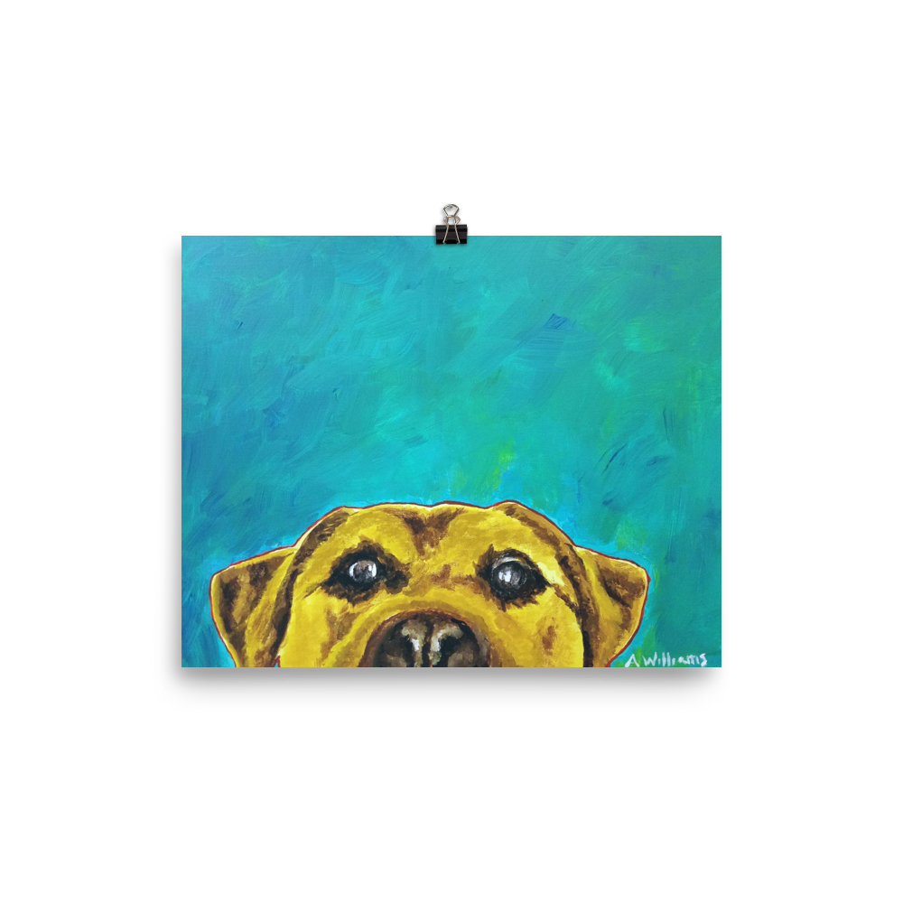 8x10 print of a yellow lab with blue green background