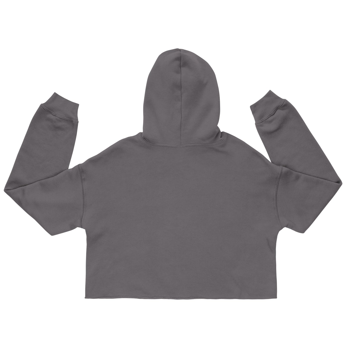 back of gray cropped hoodie